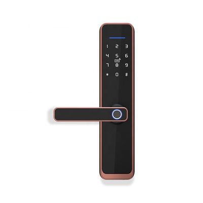 Electric Tuya APP Smart Wifi Door Lock Kunci Pintu Sidik Jari Biometrik Digital