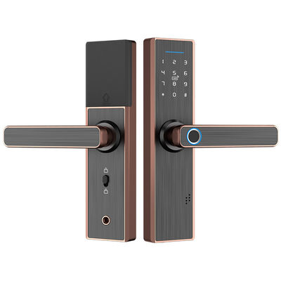 Kunci Pintu Masuk Wifi Sidik Jari Layar Sentuh Dengan Kunci Pegangan Mudah Dipasang Untuk Hotel Rumah